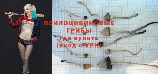 каннабис Алзамай