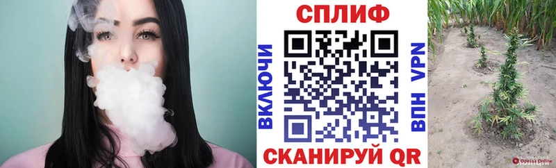 Канабис ГИДРОПОН  сколько стоит  Боровичи 